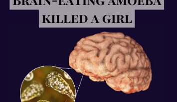 Brain eating amoeba eating the brain