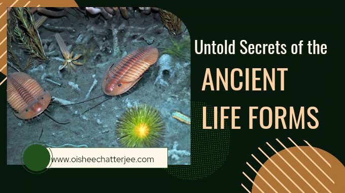 Ancient life forms