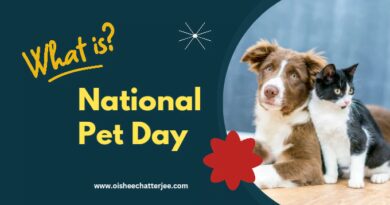 The image shows that the topic of the blog is about pets