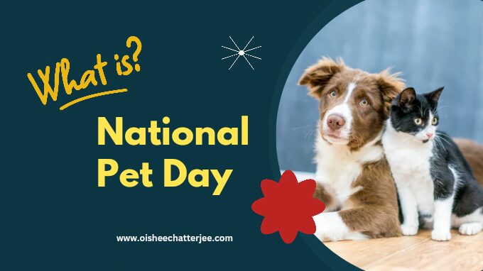 The image shows that the topic of the blog is about pets