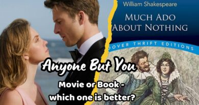 This image shows that the blog is about the movie anyone but you and it's original book