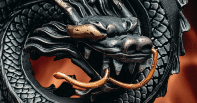 The image shows that the blog is related to fierce Dragons - from House of Dragons Book